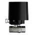 Ajax WaterStop 1/2 (DN 15) Jeweller - кран перекрытия воды с дистанционным управлением - Чёрный